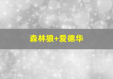 森林狼 爱德华